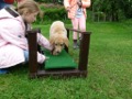 Bild 18